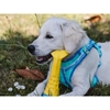 Picture of Freedog Peak Pedra Dog Harness | Cooling & Breathable